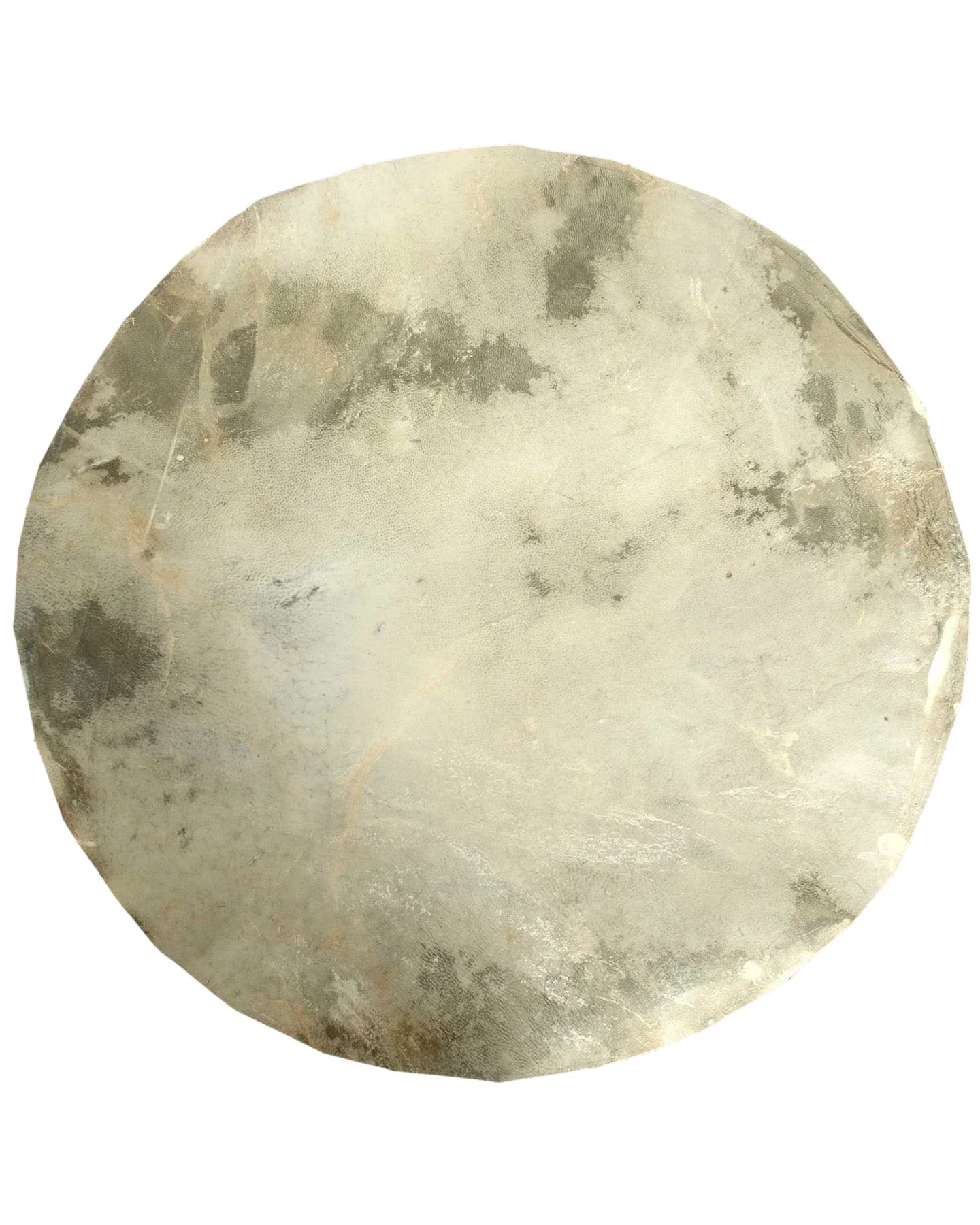 16" Goatskin Head