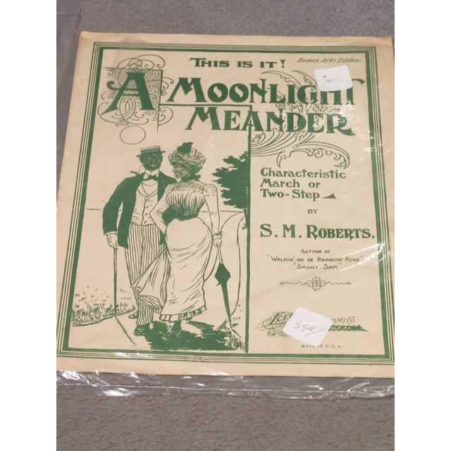 A Moonlight Meander - Image 2