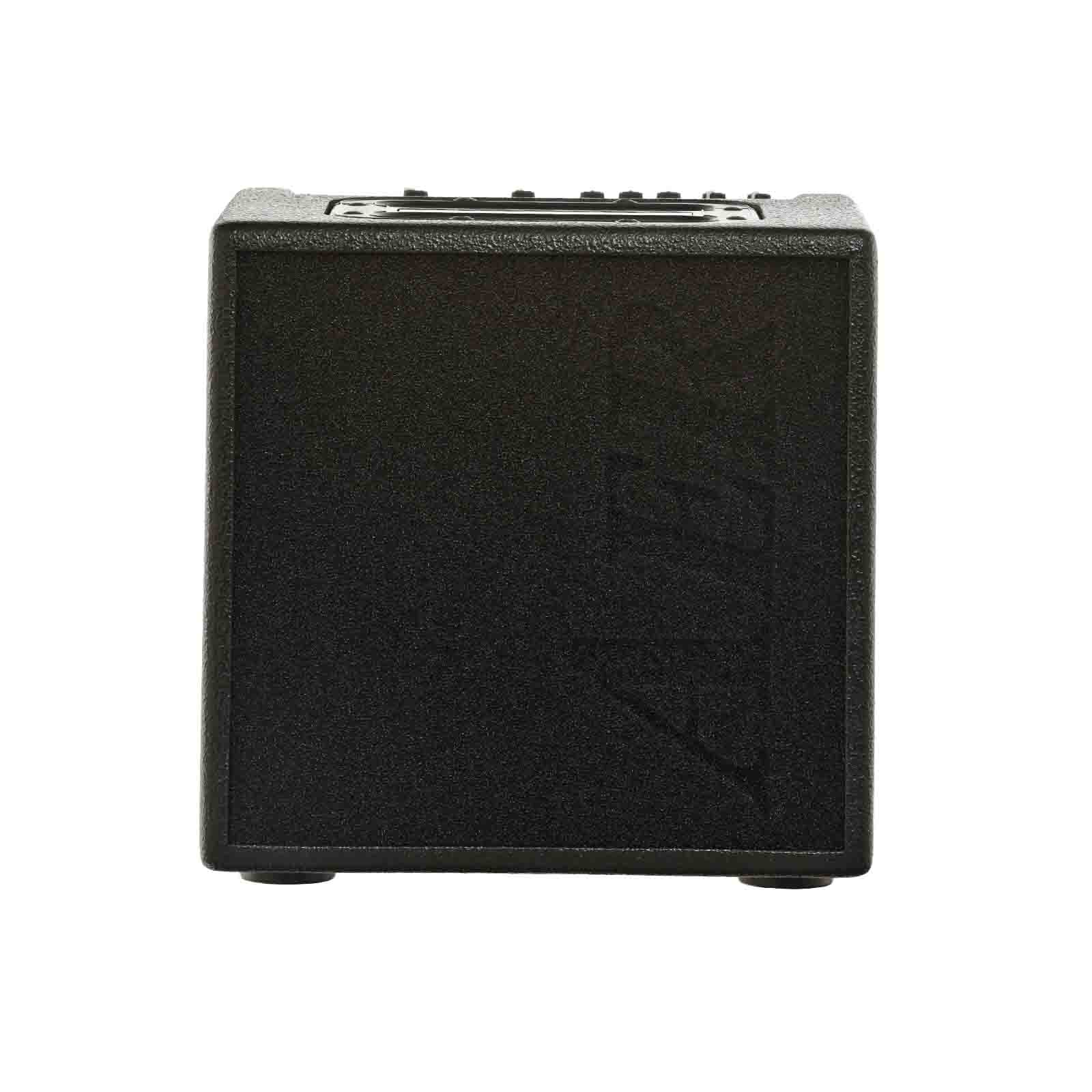 AER Alpha Acoustic Amplifier - Image 2