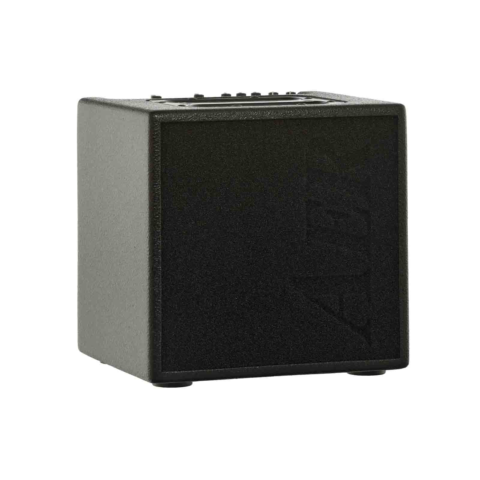 AER Alpha Acoustic Amplifier - Image 3