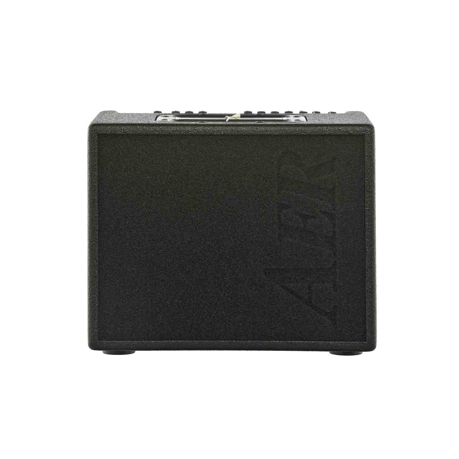 AER Compact 60/4 Acoustic Guitar Amplifier - Image 2