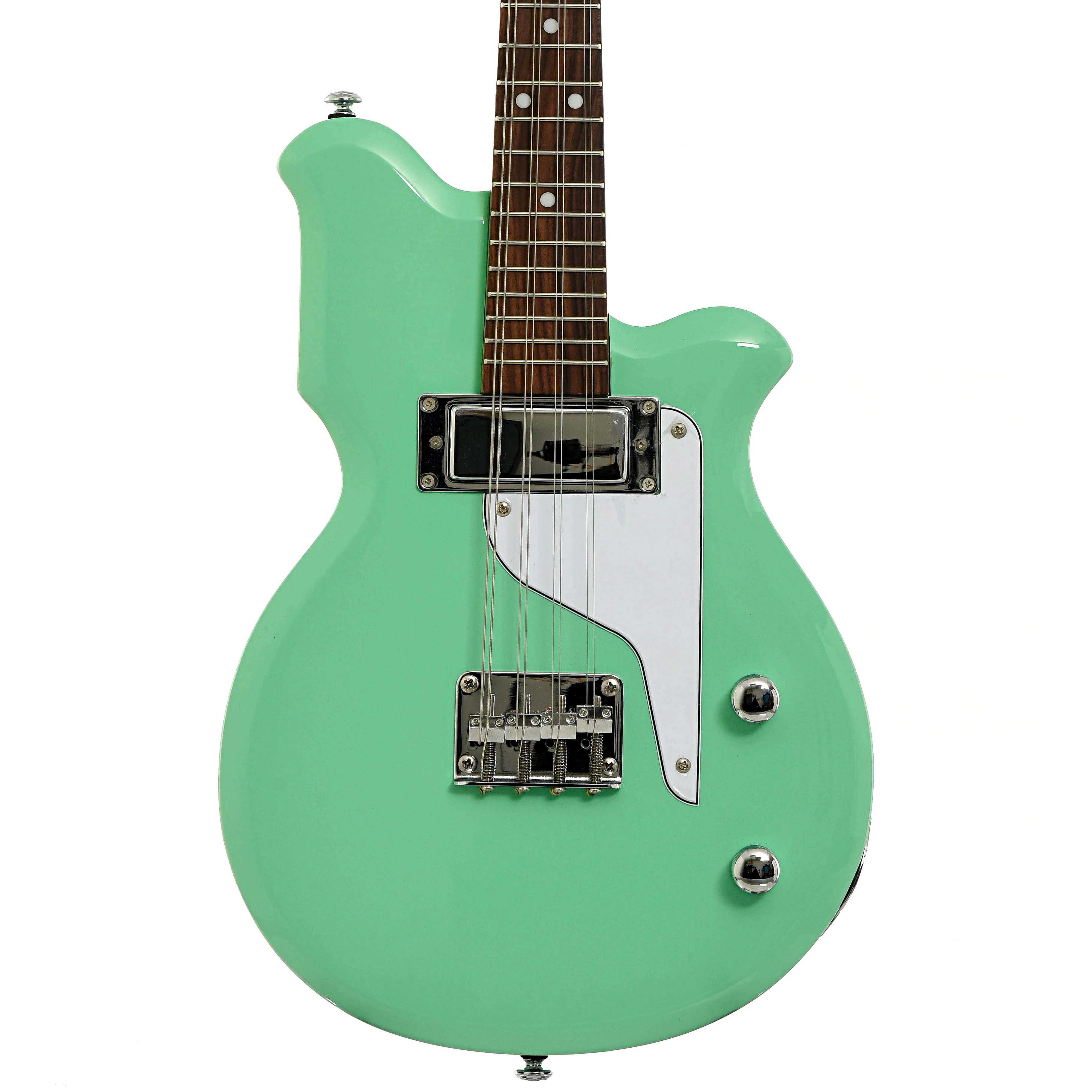 Airline Map Electric Mandola (2020) - Image 2