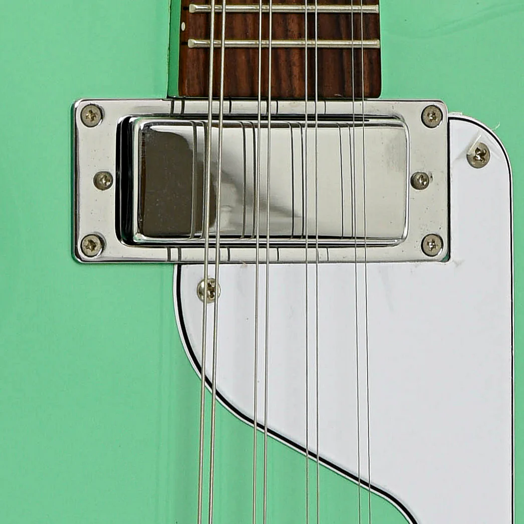 Airline Map Electric Mandola (2020) - Image 6