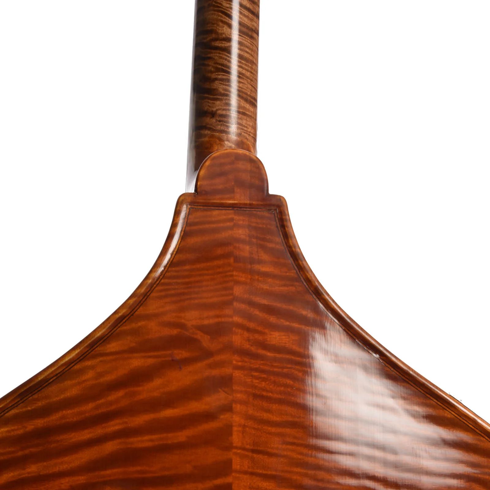 KSB Amati Deluxe 3/4 Upright Bass (2007) - Image 8