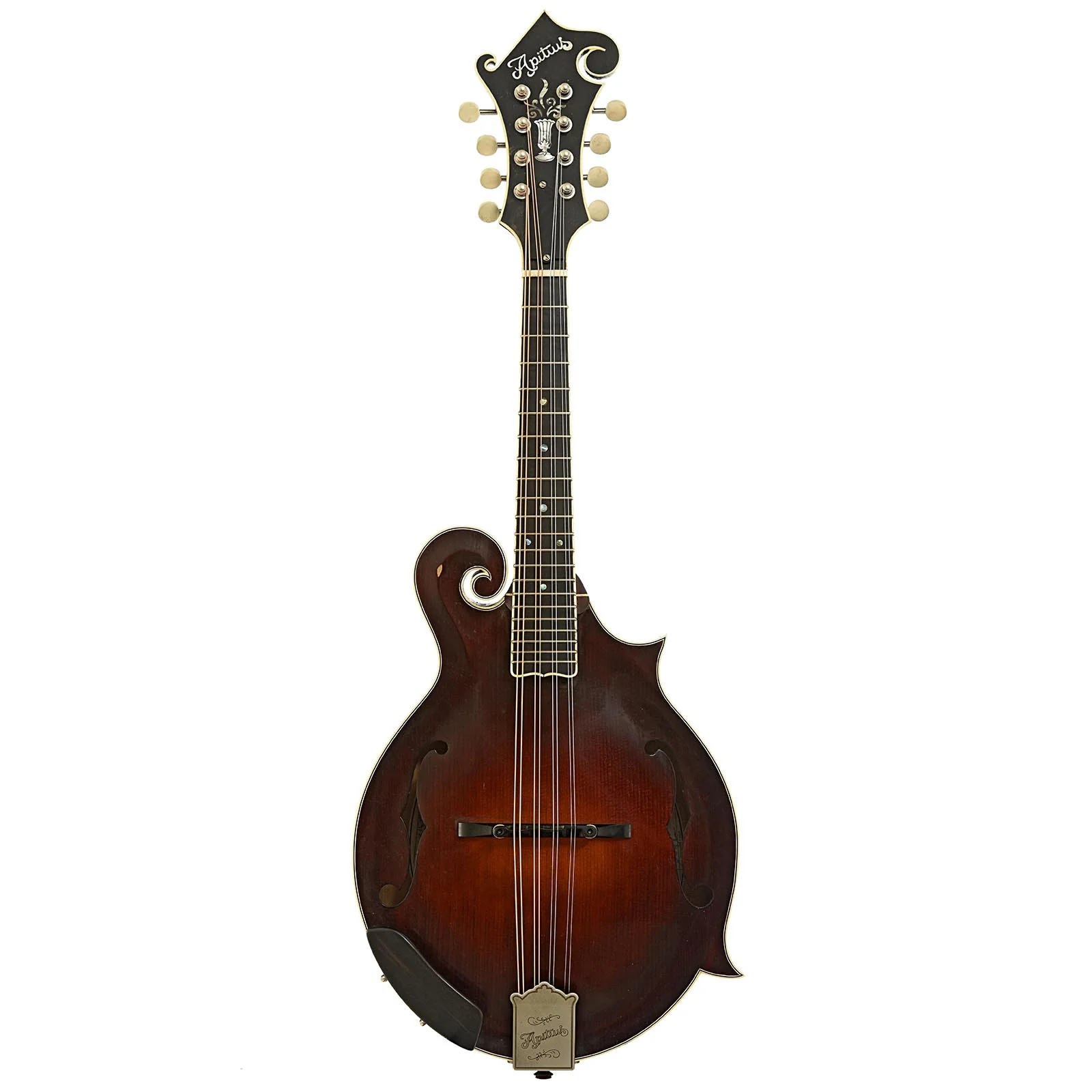 Apitius Custom Vanguard F-Style Mandolin (2017) - Image 14