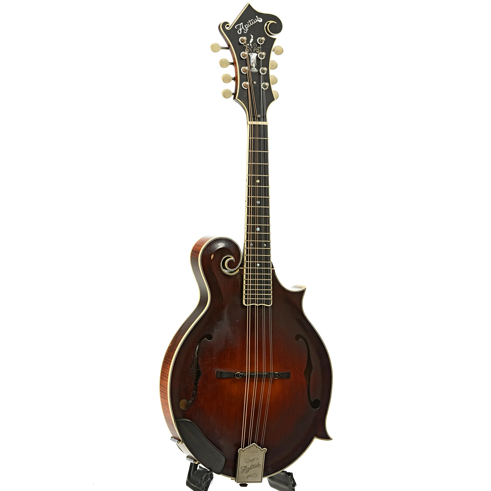 Apitius Custom Vanguard F-Style Mandolin (2017) - Image 3