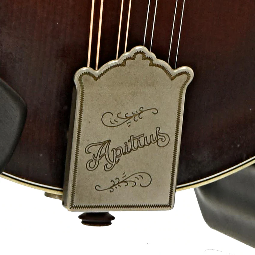 Apitius Custom Vanguard F-Style Mandolin (2017) - Image 5
