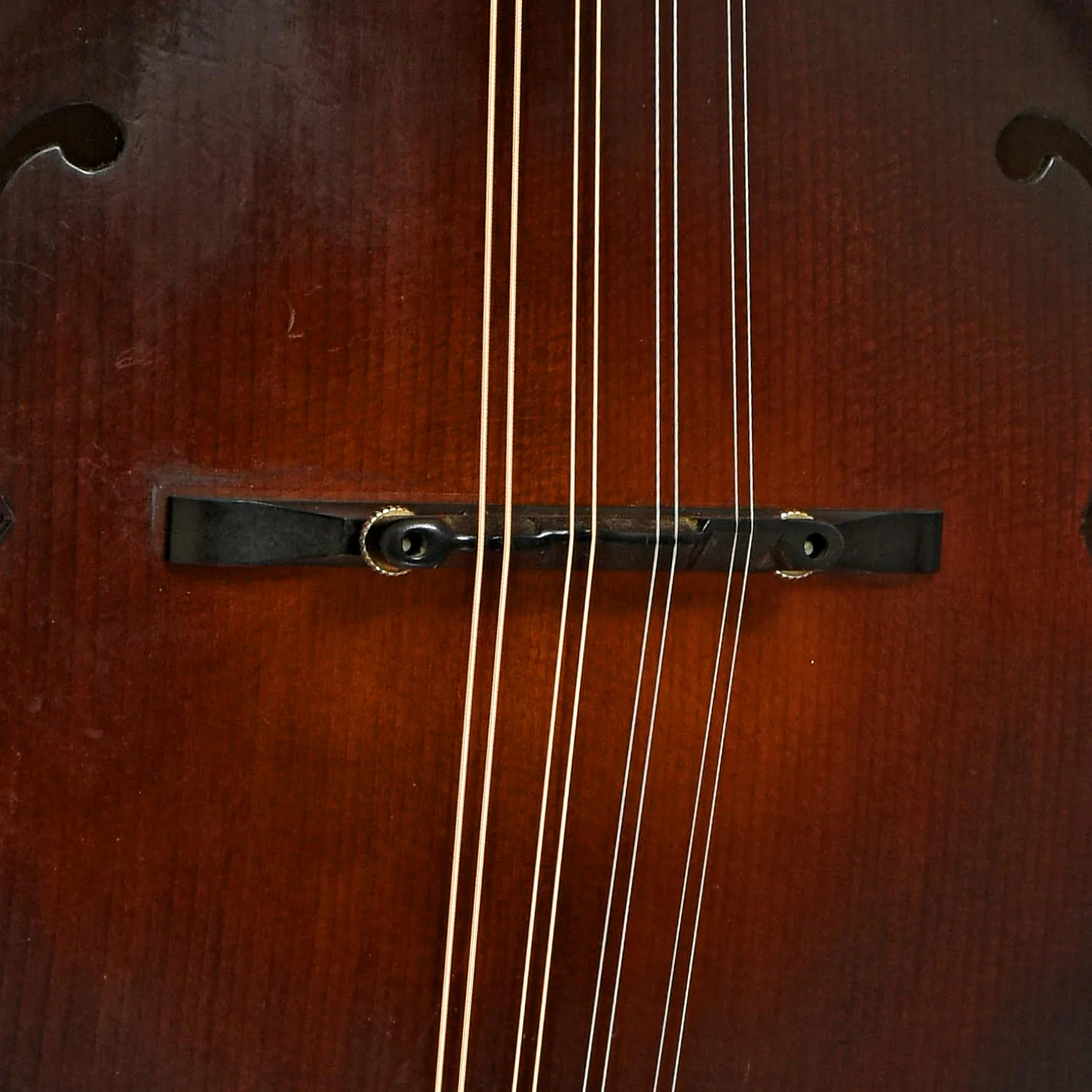 Apitius Custom Vanguard F-Style Mandolin (2017) - Image 6