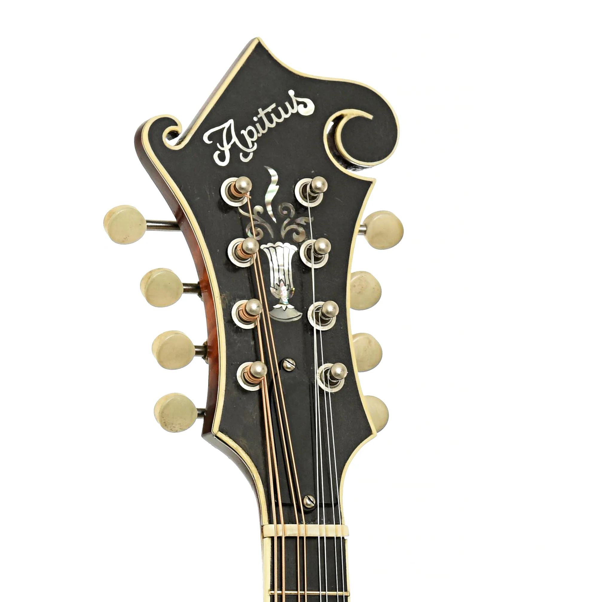 Apitius Custom Vanguard F-Style Mandolin (2017) - Image 8
