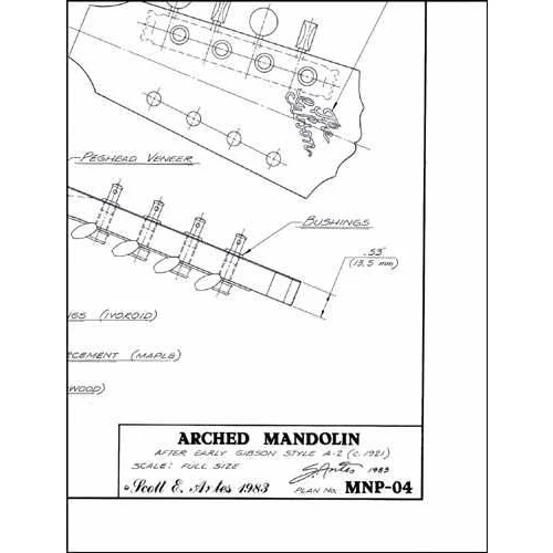 Blueprint - Archtop Mandolin - Image 2