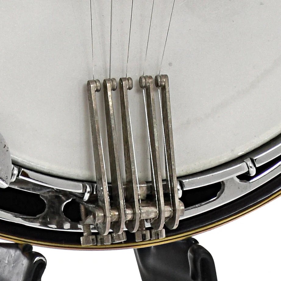 Aria Pro II PB550 Tree of Life Resonator Banjo (c.1977) - Image 4