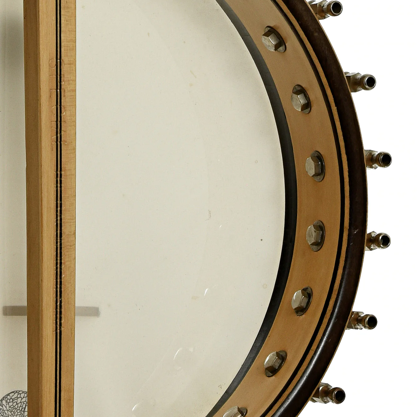 Bacon Blue Ribbon A1 Special Open Back Banjo (c.1924) - Image 11