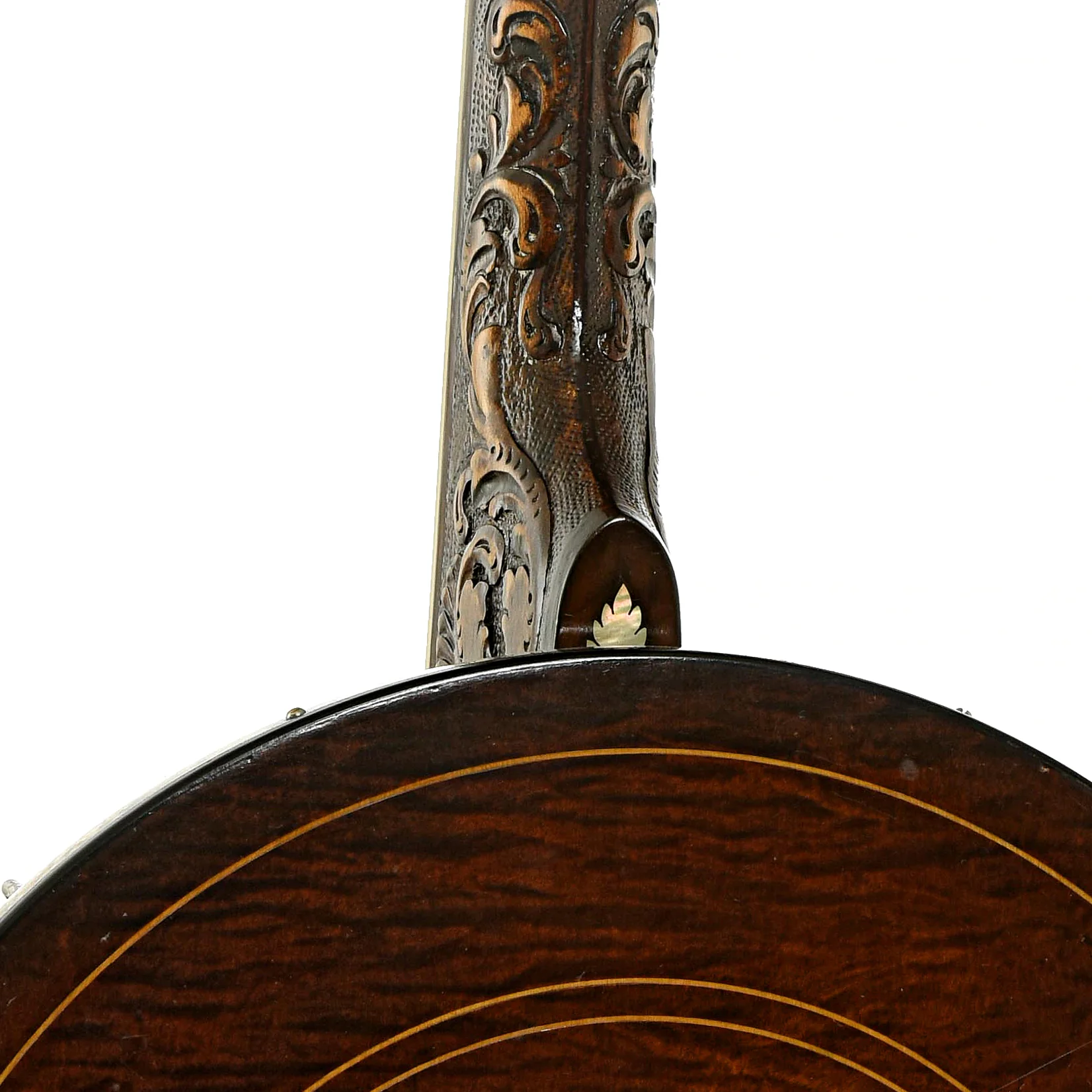 Bacon & Day Silver Bell No. 2 Tenor Banjo (1925) - Image 12