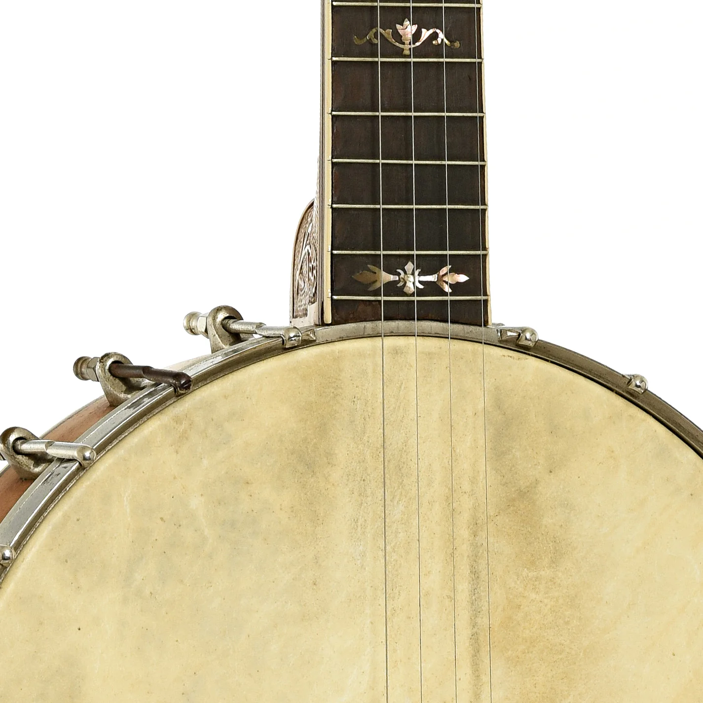 Bacon Special Grand Concert Open Back Banjo (c.1920) - Image 5
