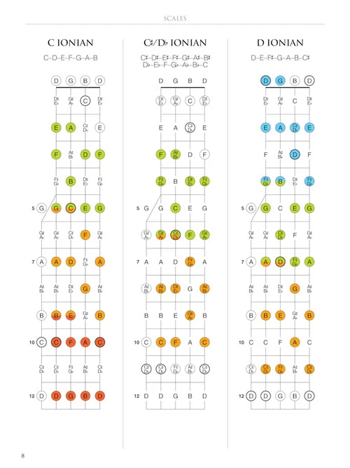 Banjo Fretboard Atlas - Get a Better Grip on Neck Navigation! - Image 4