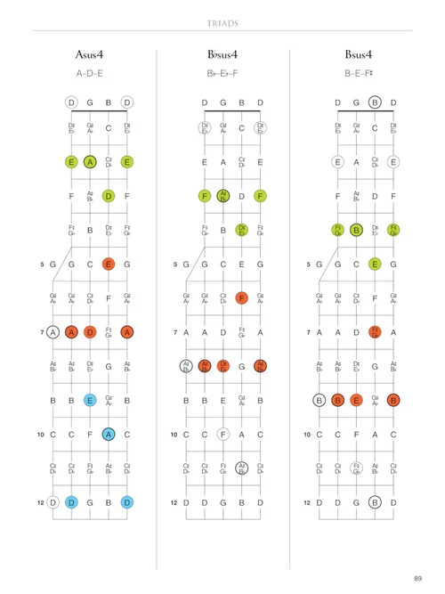 Banjo Fretboard Atlas - Get a Better Grip on Neck Navigation! - Image 6