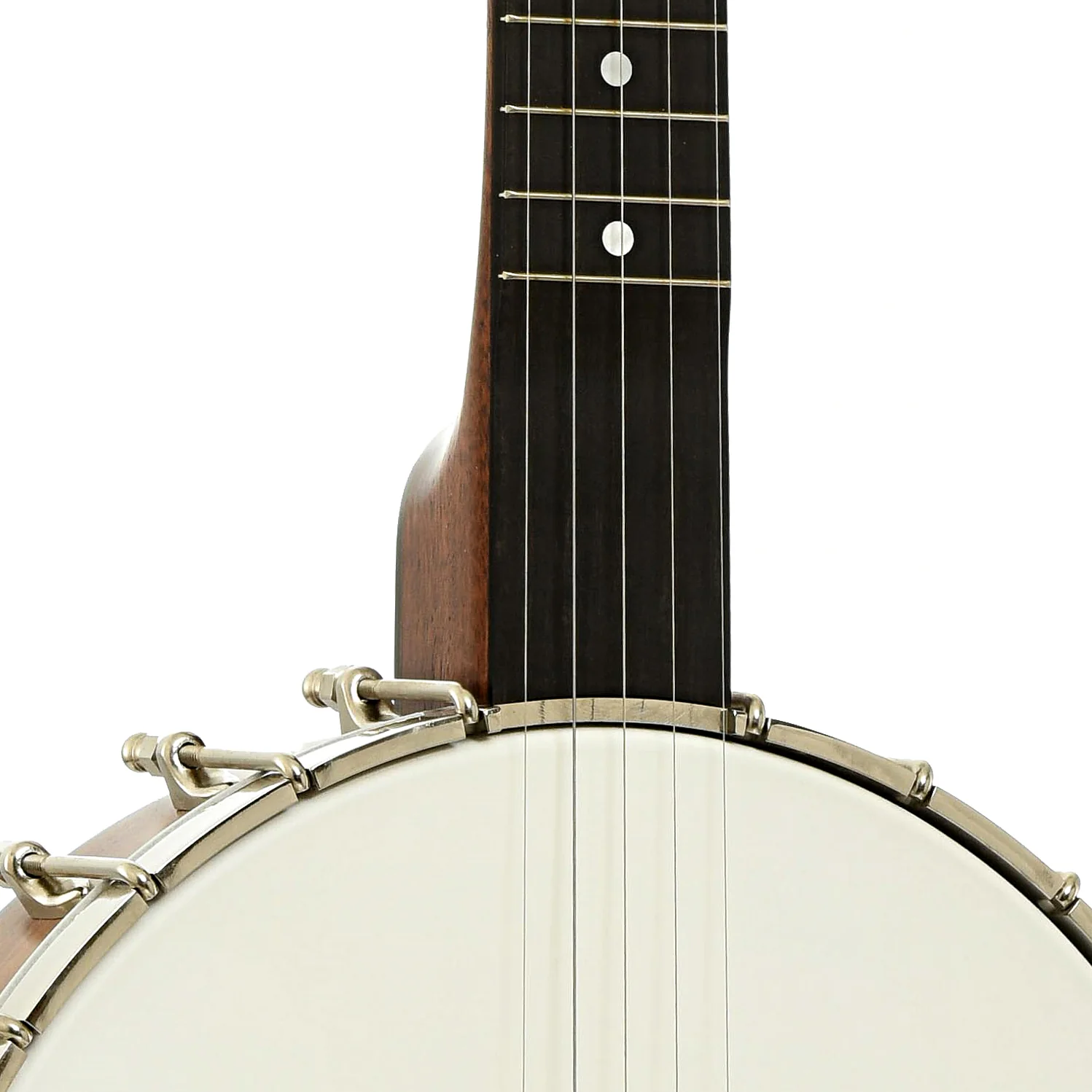 Bart Reiter Galax Open Back Banjo (2008) - Image 6