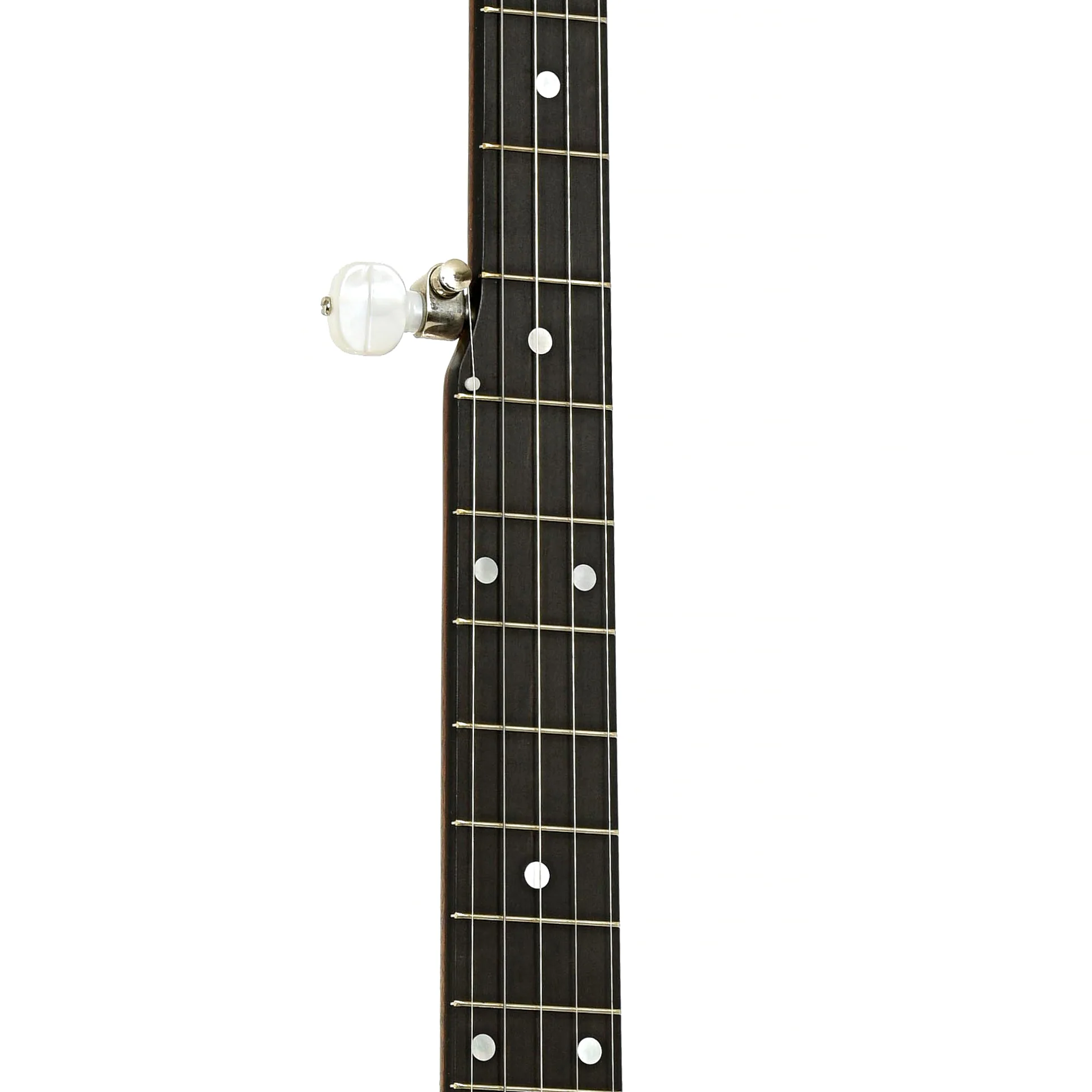 Bart Reiter Galax Open Back Banjo (2008) - Image 7