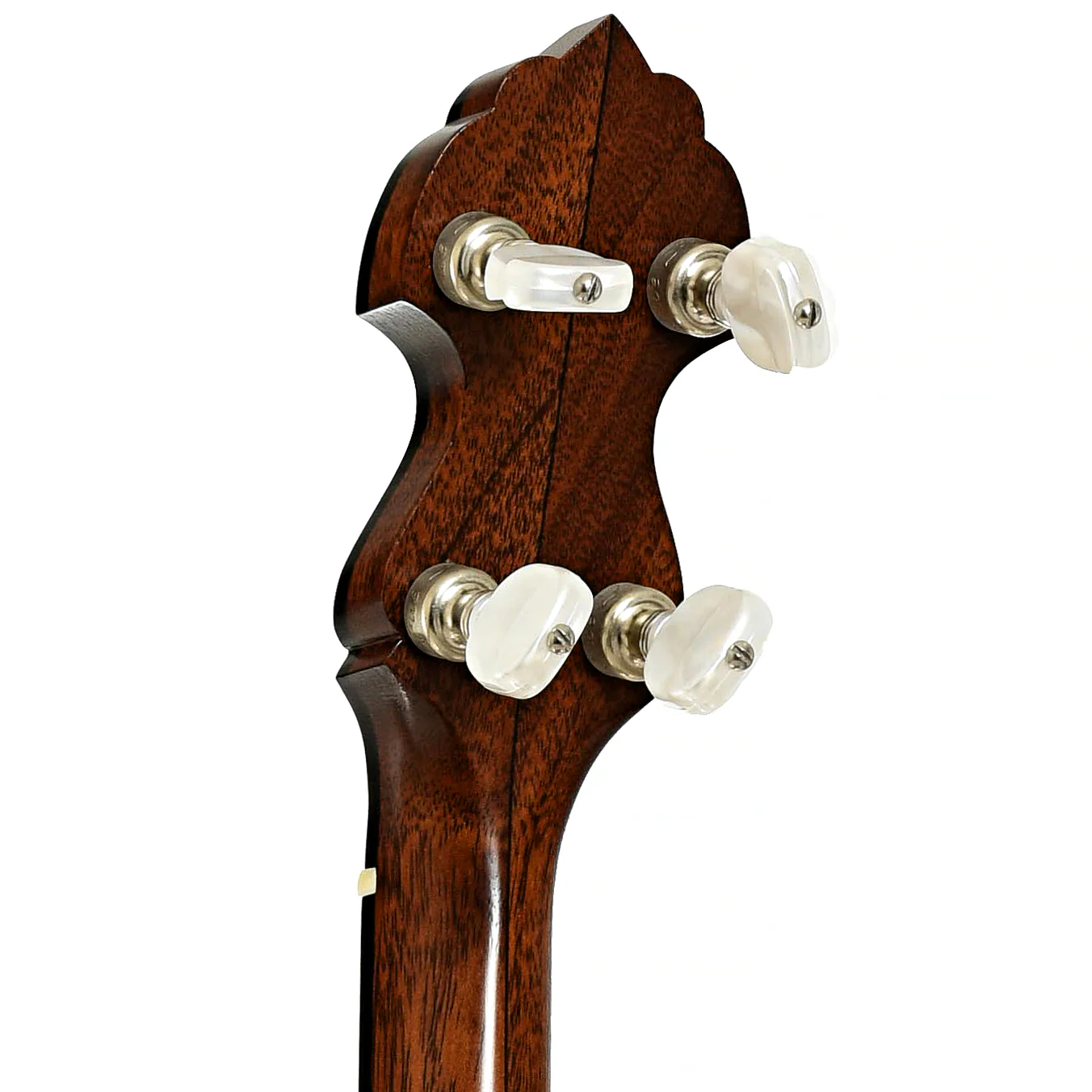 Bart Reiter Galax Open Back Banjo (2008) - Image 9