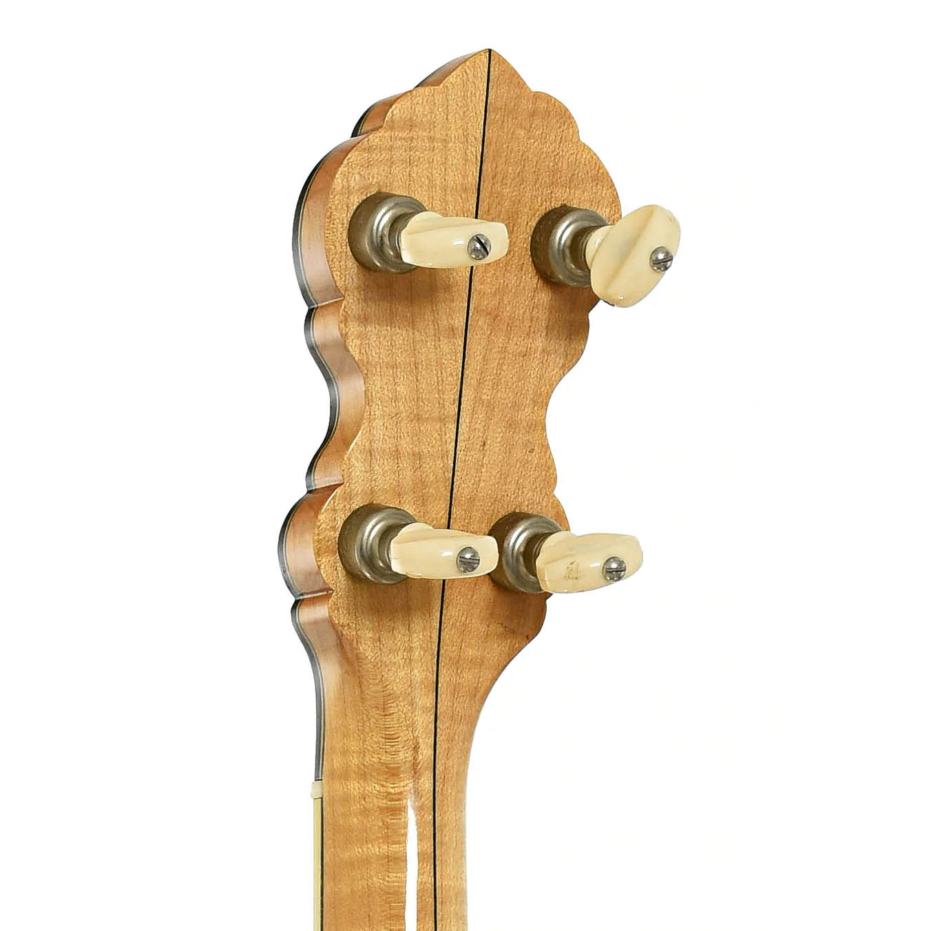 Bart Reiter FF Professional Custom Open Back Banjo (1989) - Image 9