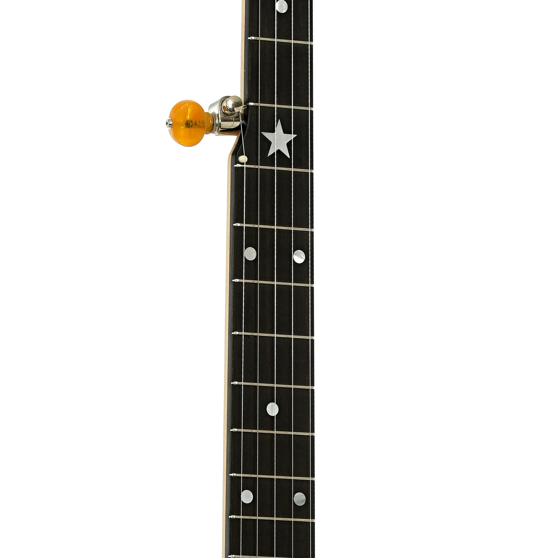 Bart Reiter Regent Openback Banjo (2014) - Image 7