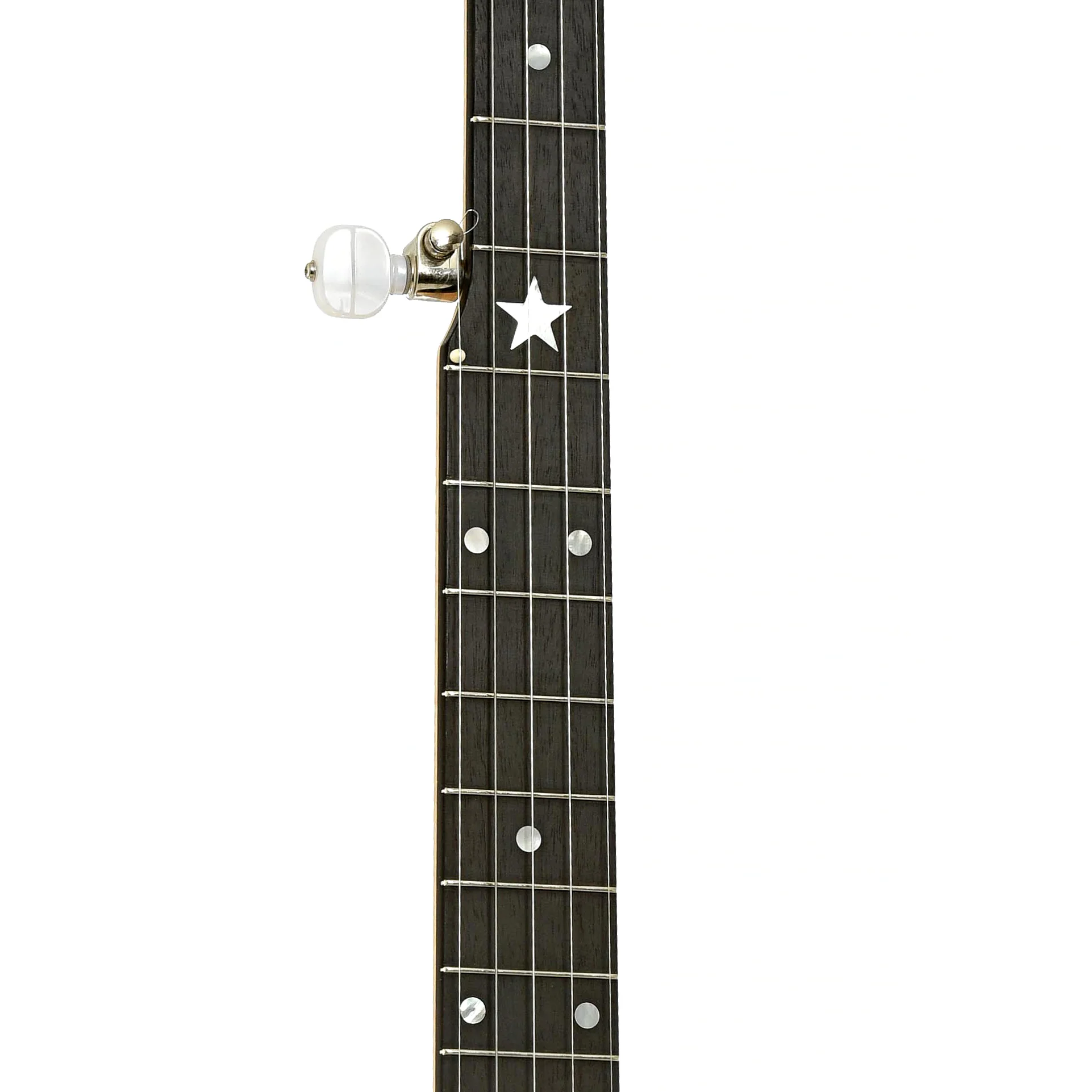 Bart Reiter Special Open Back Banjo (2016) - Image 7