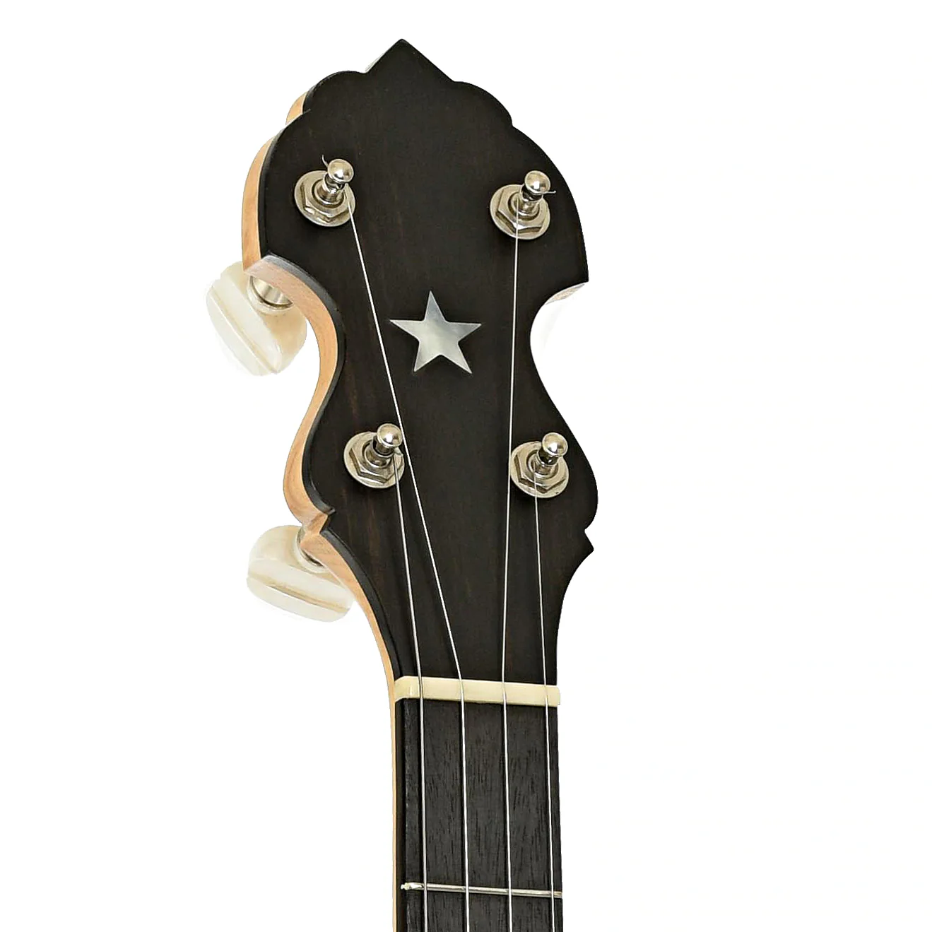 Bart Reiter Special Open Back Banjo (2016) - Image 8