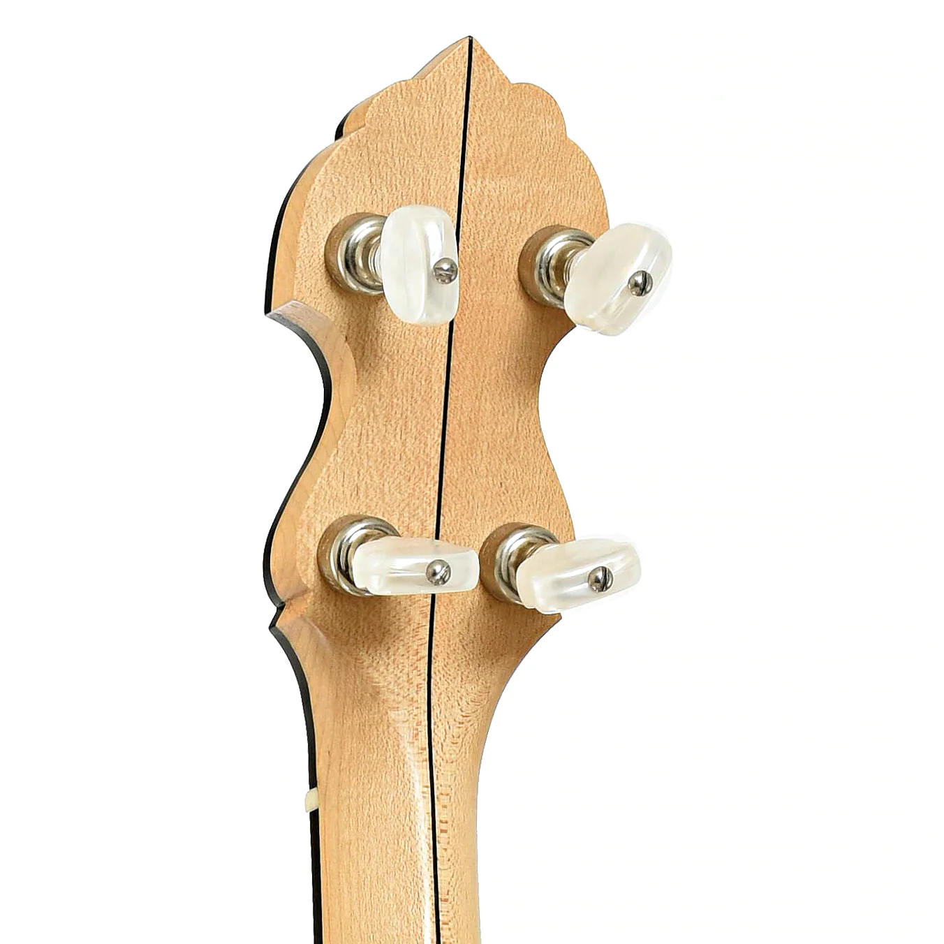 Bart Reiter Special Open Back Banjo (2016) - Image 9