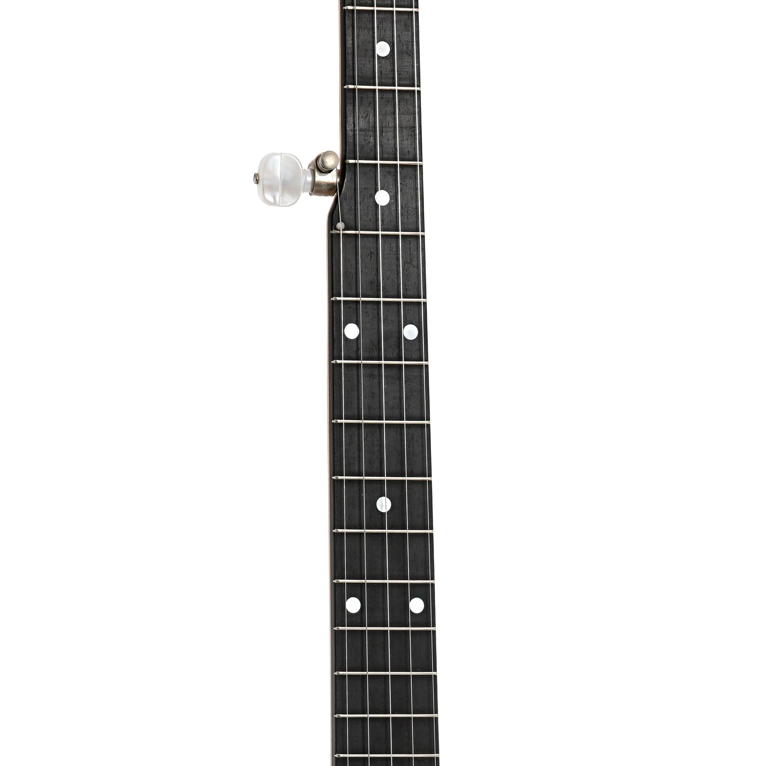 Bart Reiter Special Open Back Banjo (2008) - Image 5