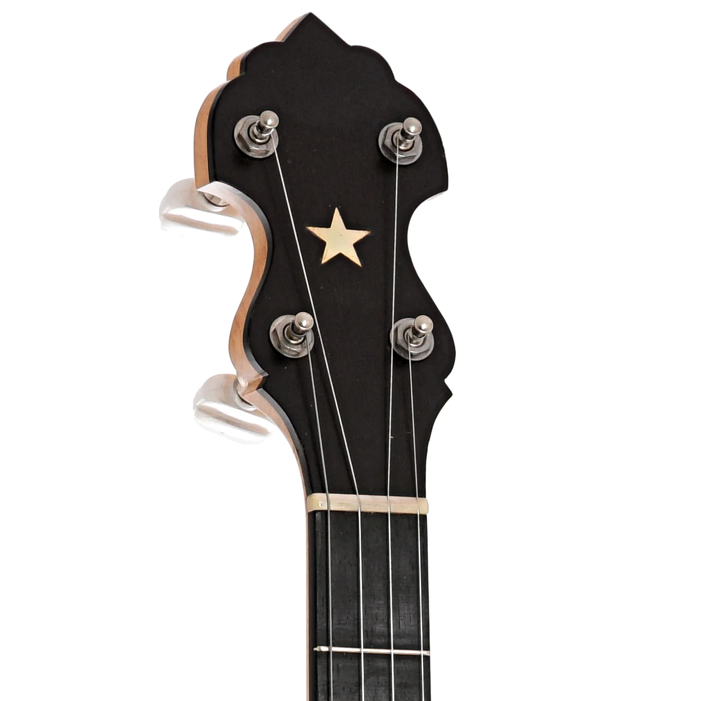 Bart Reiter Special Open Back Banjo (2008) - Image 6