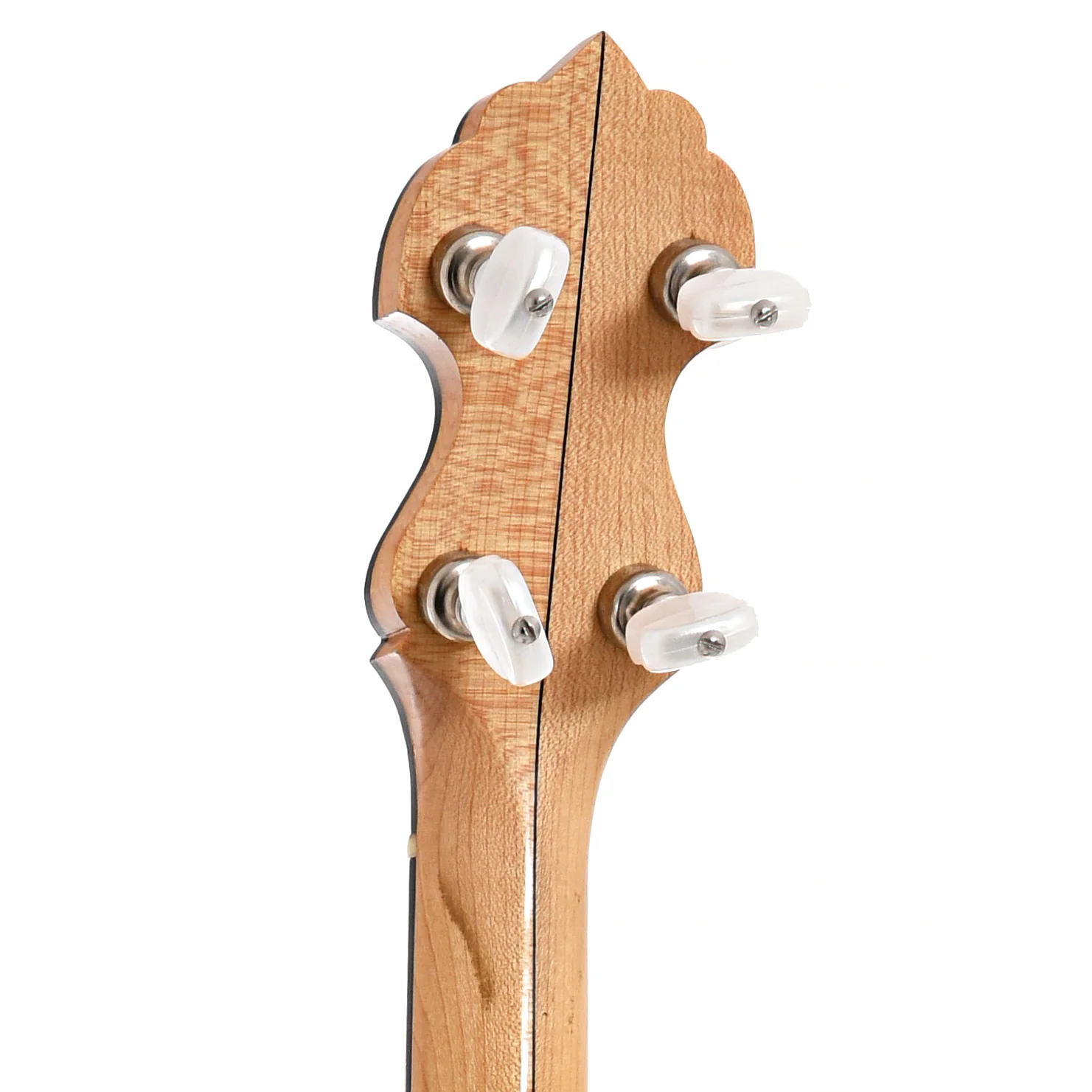 Bart Reiter Special Open Back Banjo (2008) - Image 7