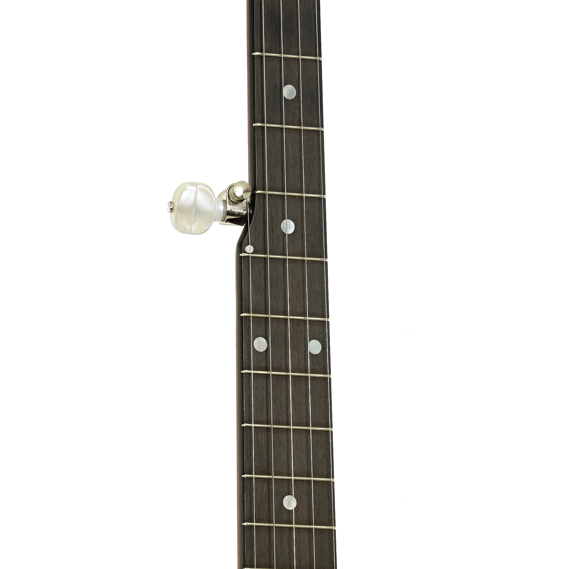 Bart Reiter Standard A-Scale Openback Banjo (2007) - Image 7