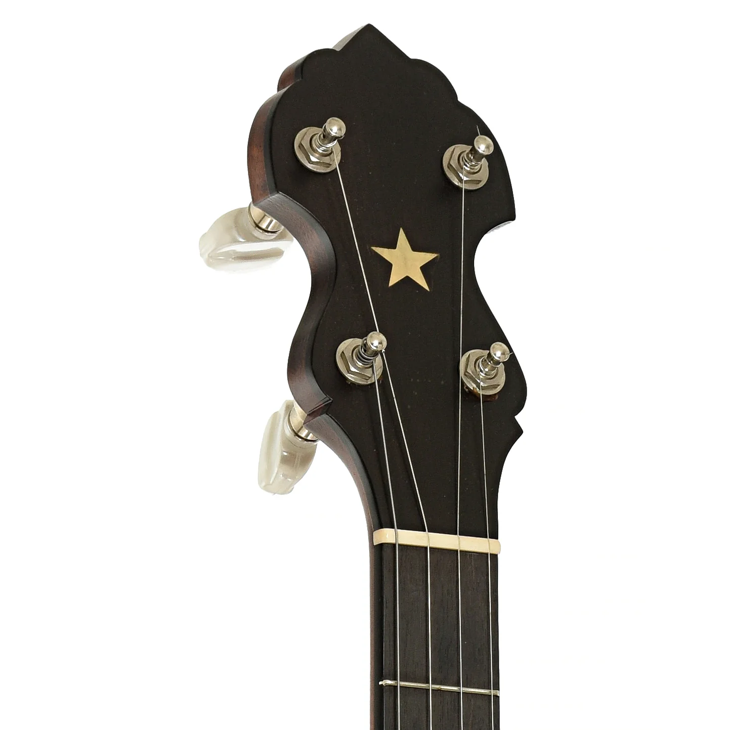 Bart Reiter Standard A-Scale Openback Banjo (2007) - Image 8