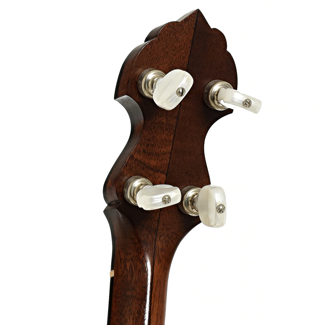 Bart Reiter Standard A-Scale Openback Banjo (2007) - Image 9