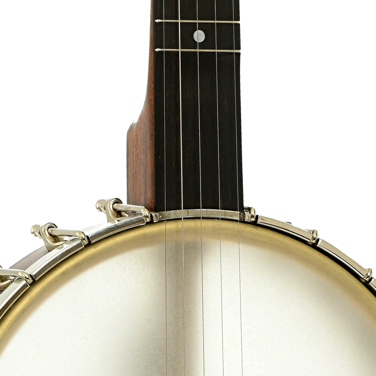 Bart Reiter Buckbee Open Back Banjo (2016) - Image 6