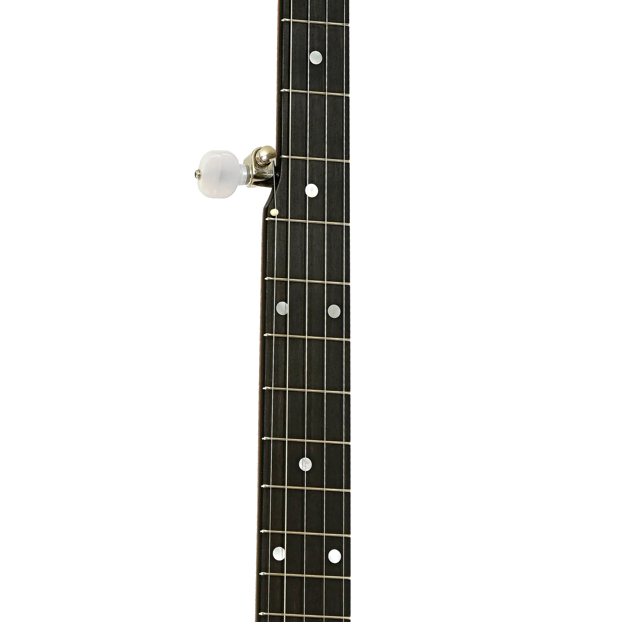 Bart Reiter Buckbee Open Back Banjo (2016) - Image 7