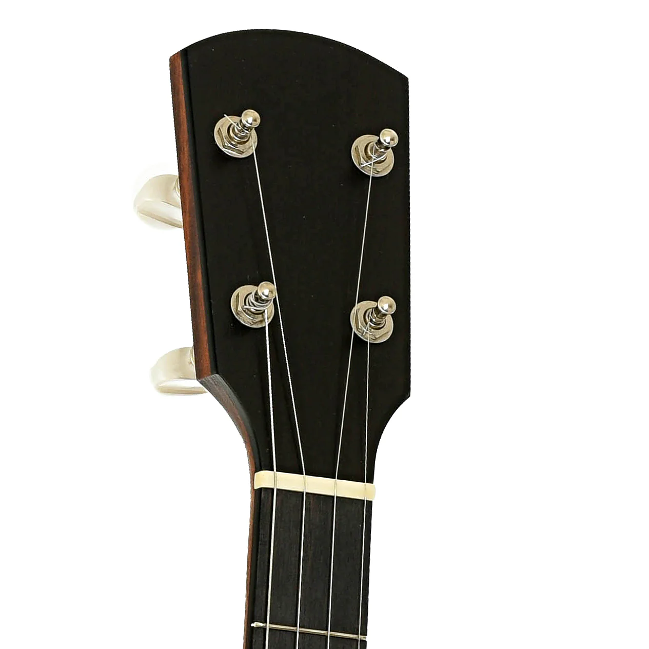Bart Reiter Buckbee Open Back Banjo (2016) - Image 8