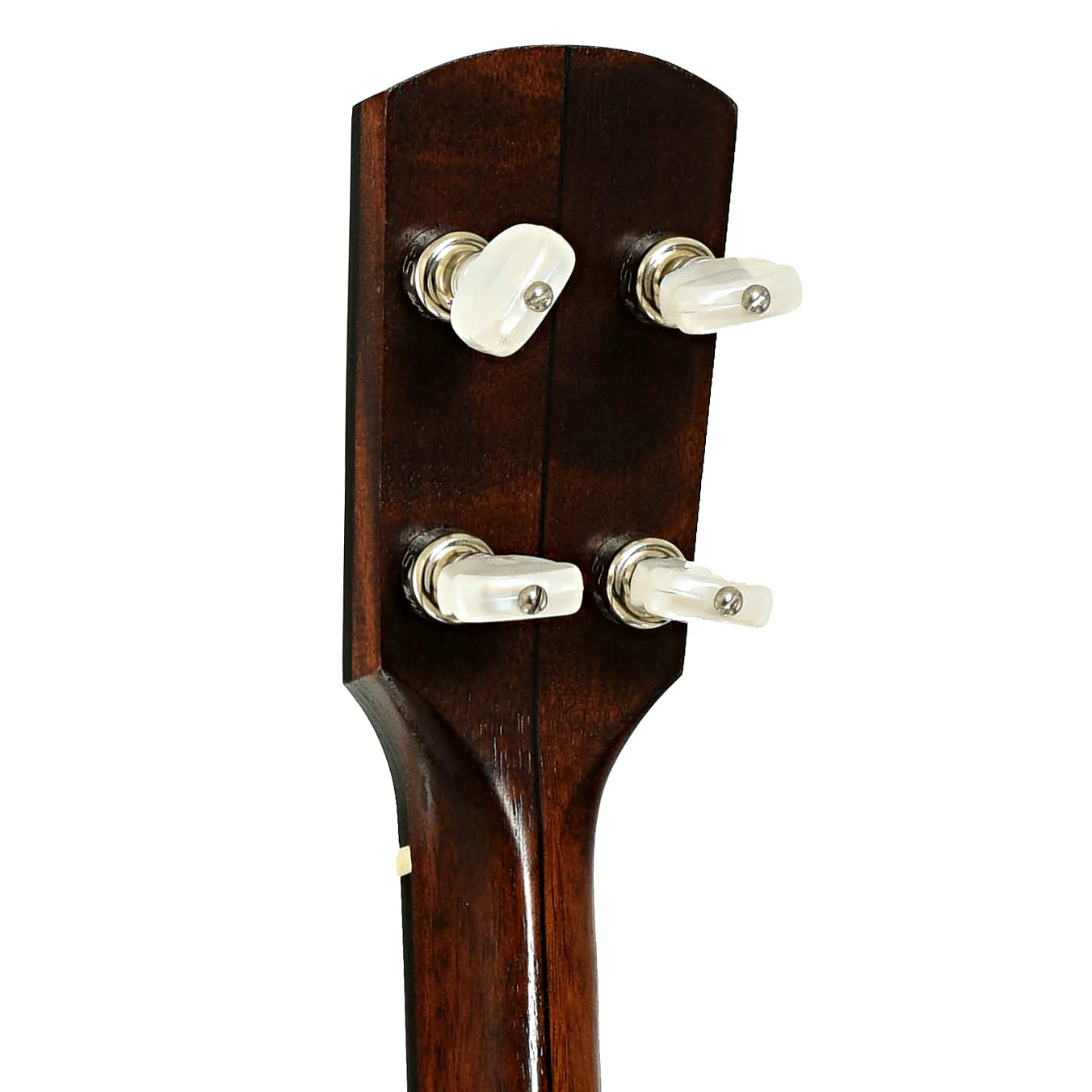 Bart Reiter Buckbee Open Back Banjo (2016) - Image 9