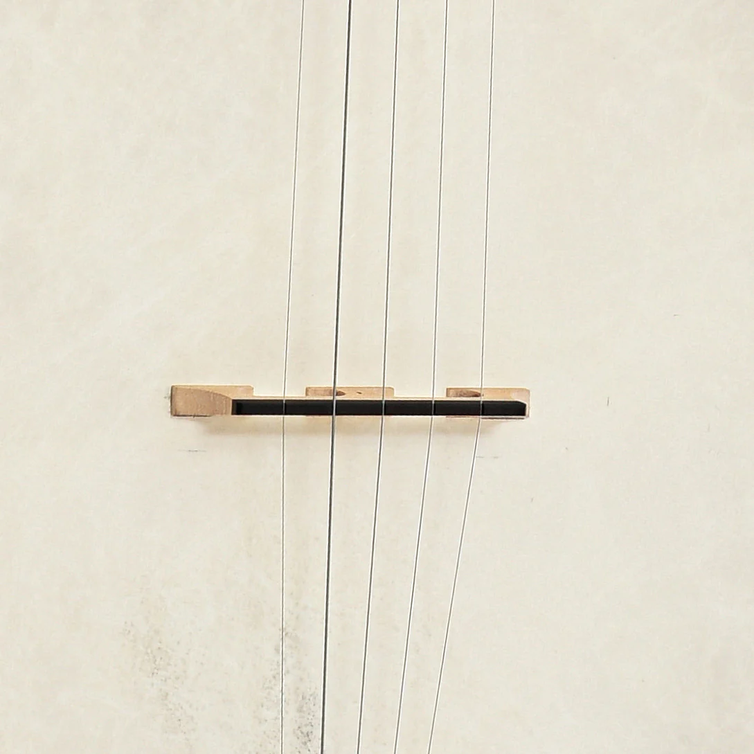 Riley Baugus Short Scale Open Back Banjo (2017) - Image 6