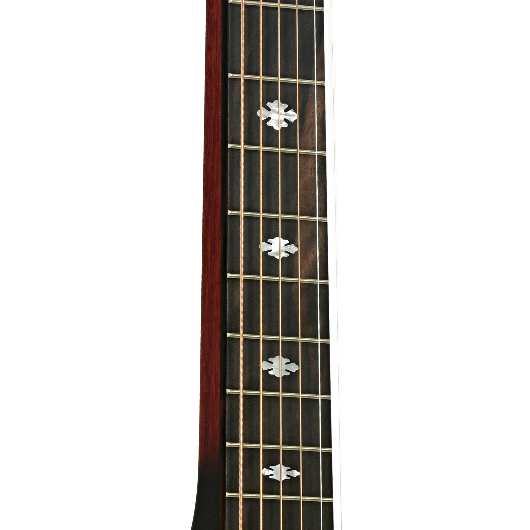 Beard Belle Squareneck Resonator Guitar & Case, Fan Coverplate - Image 7