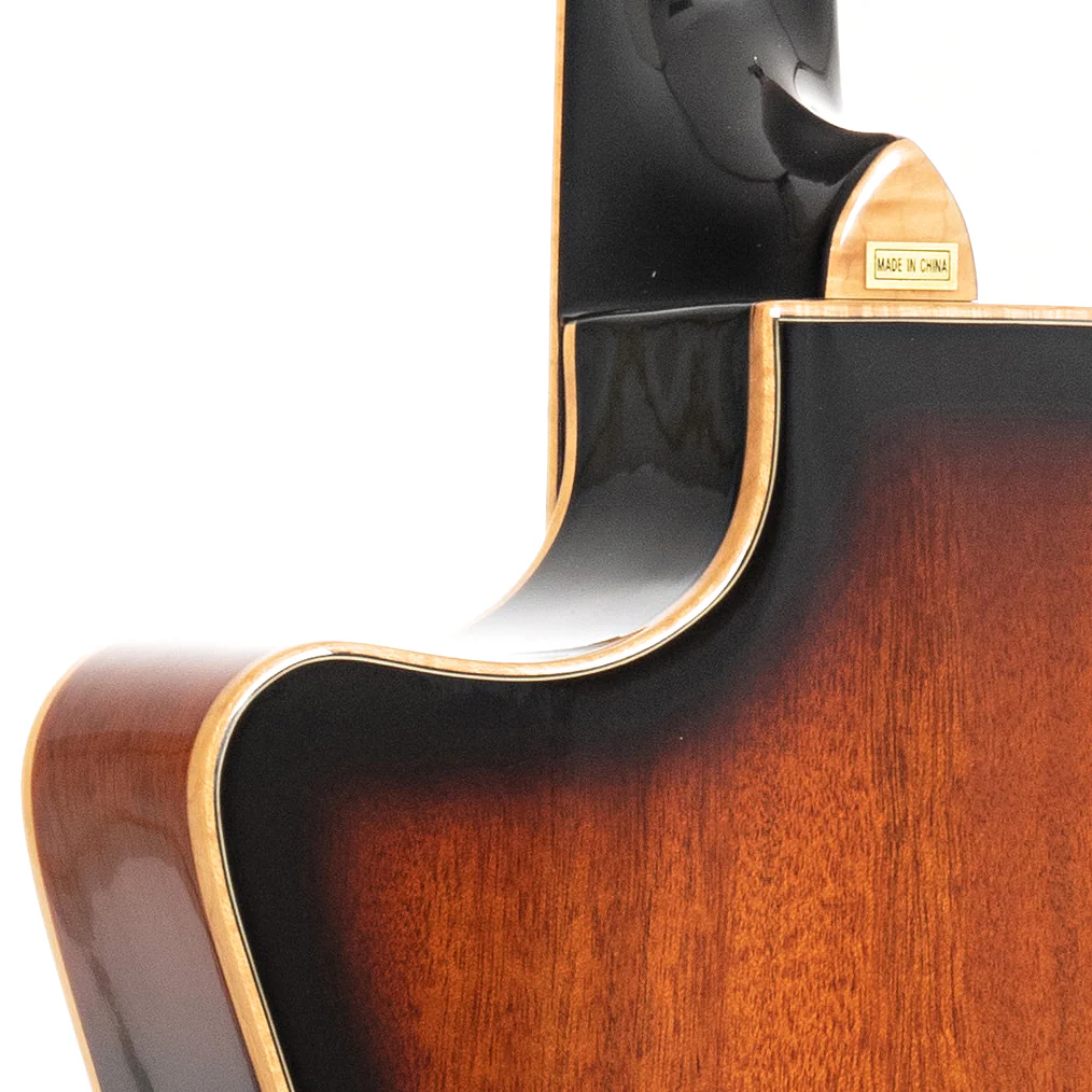 Beard Gold Tone PBR-CA Mahogany Cutaway Resophonic Guitar & Case - Image 9