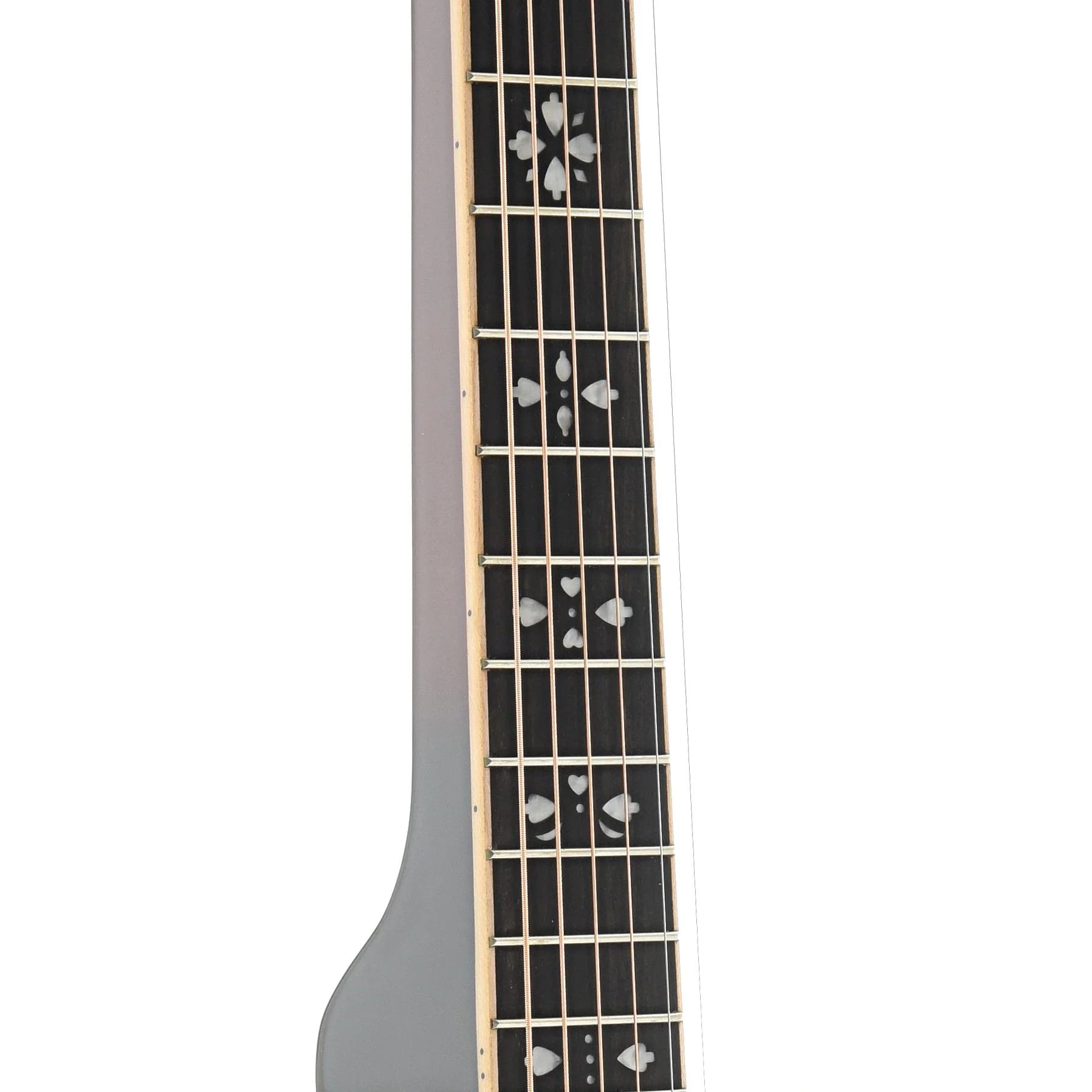 Gold Tone Beard PBS-D Squareneck Resonator Acoustic Guitar & Case - Image 6