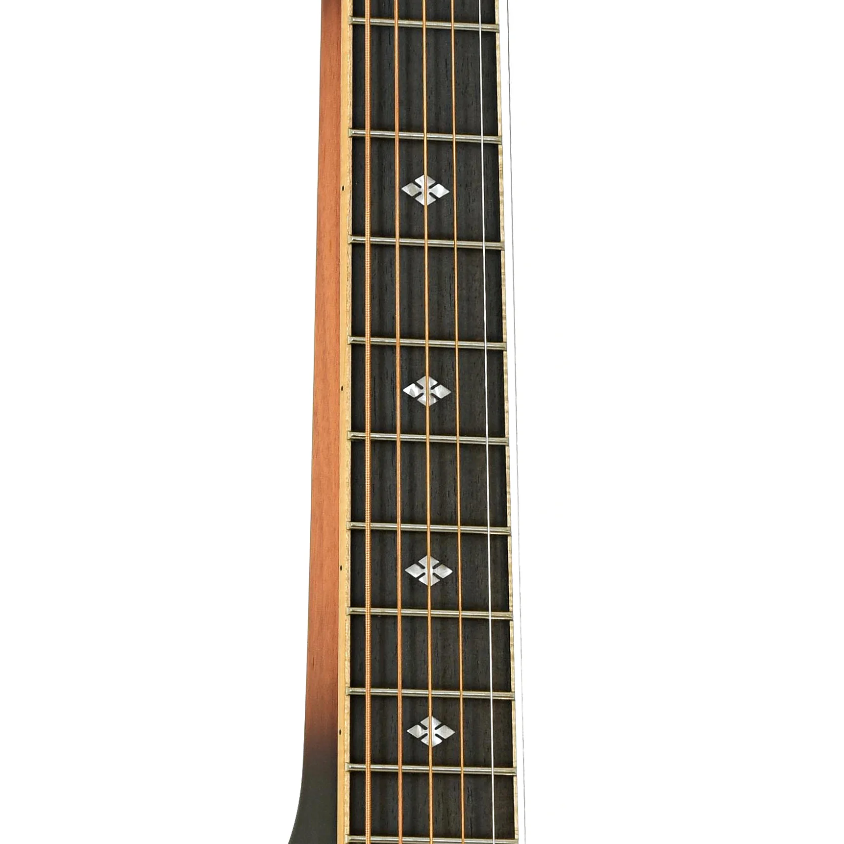 Gold Tone Beard PBS-M Squareneck Resonator Acoustic Guitar & Case - Image 7