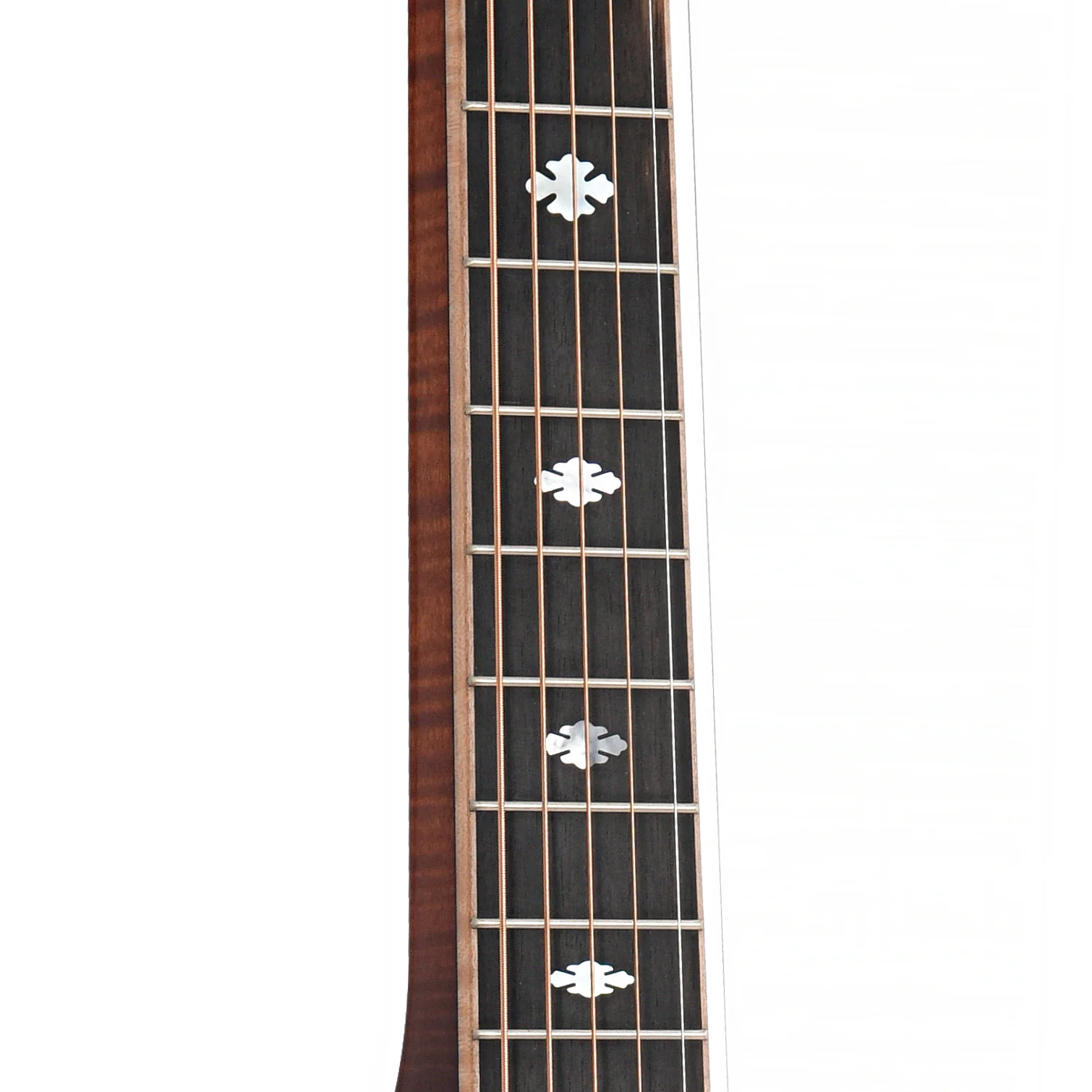 Beard Maple E Standard Squareneck Resonator Guitar & Case, Amber Sunburst - Image 5