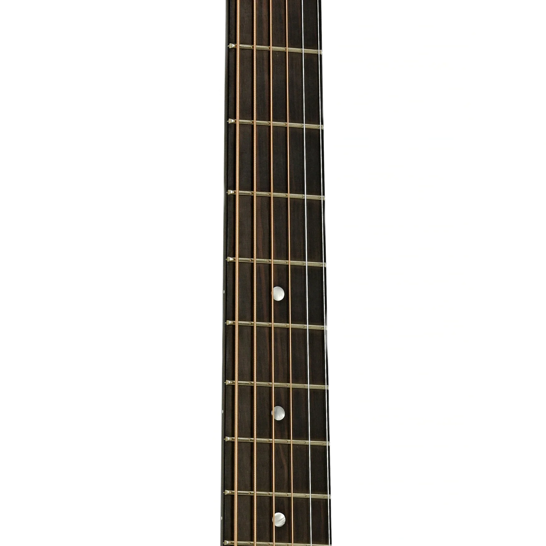 Beard RFB Radio Standard Roundneck Resonator Guitar (2022) - Image 7