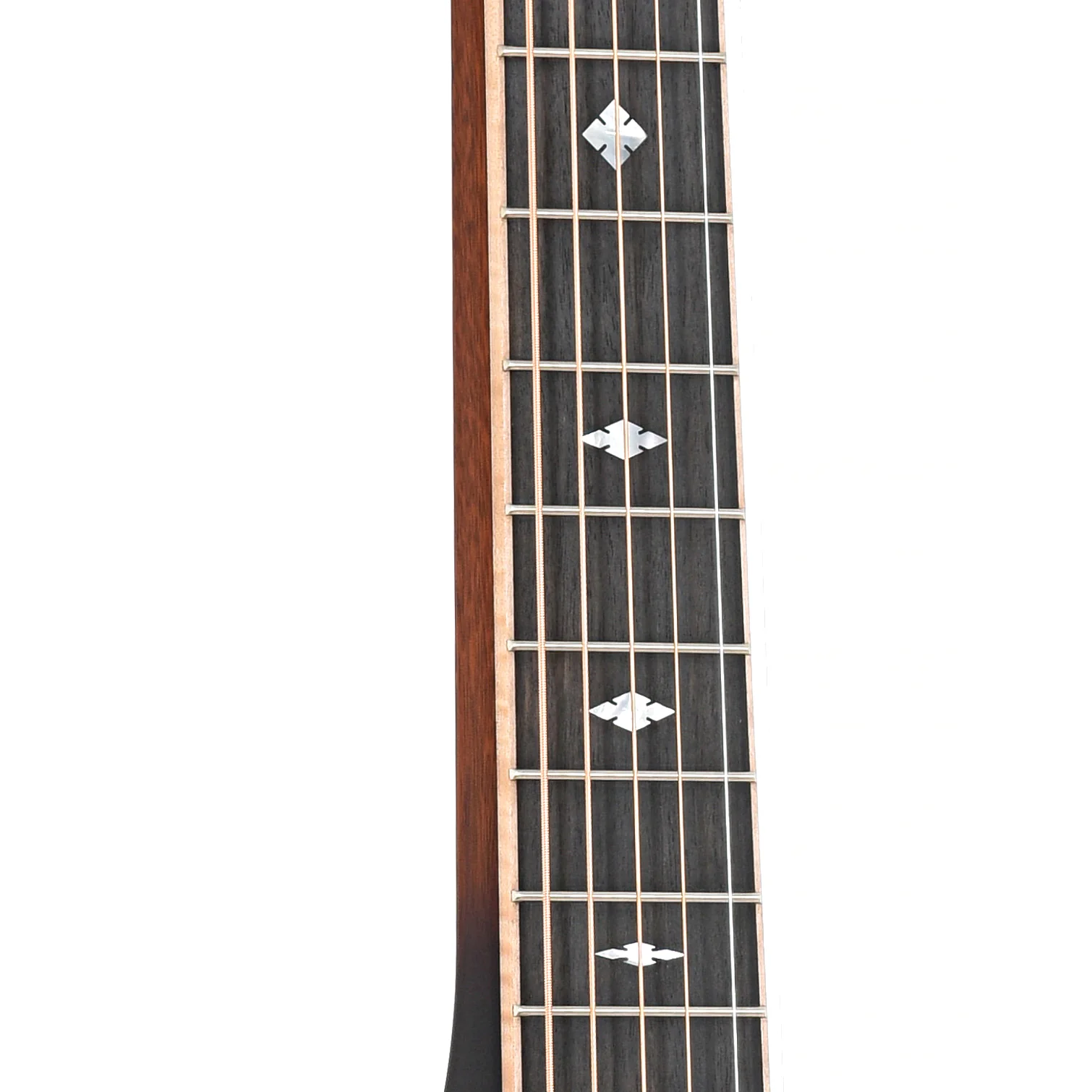 Beard Standard R-Model Squareneck Resonator Guitar & Case - Image 6