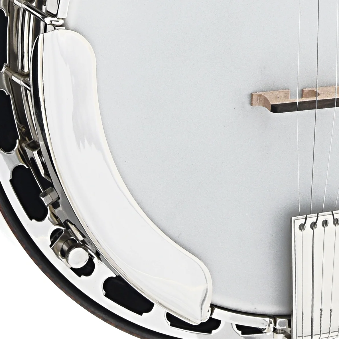 Bishline Midnight Moon Resonator Banjo & Case - Image 4