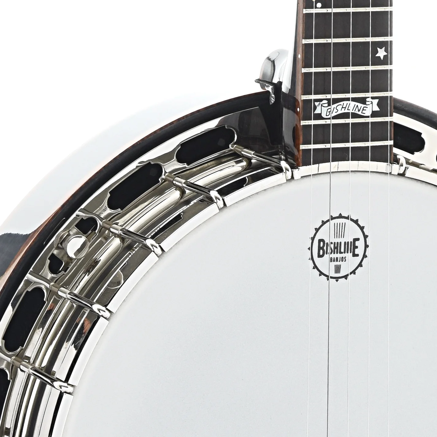 Bishline Midnight Moon Resonator Banjo & Case - Image 5