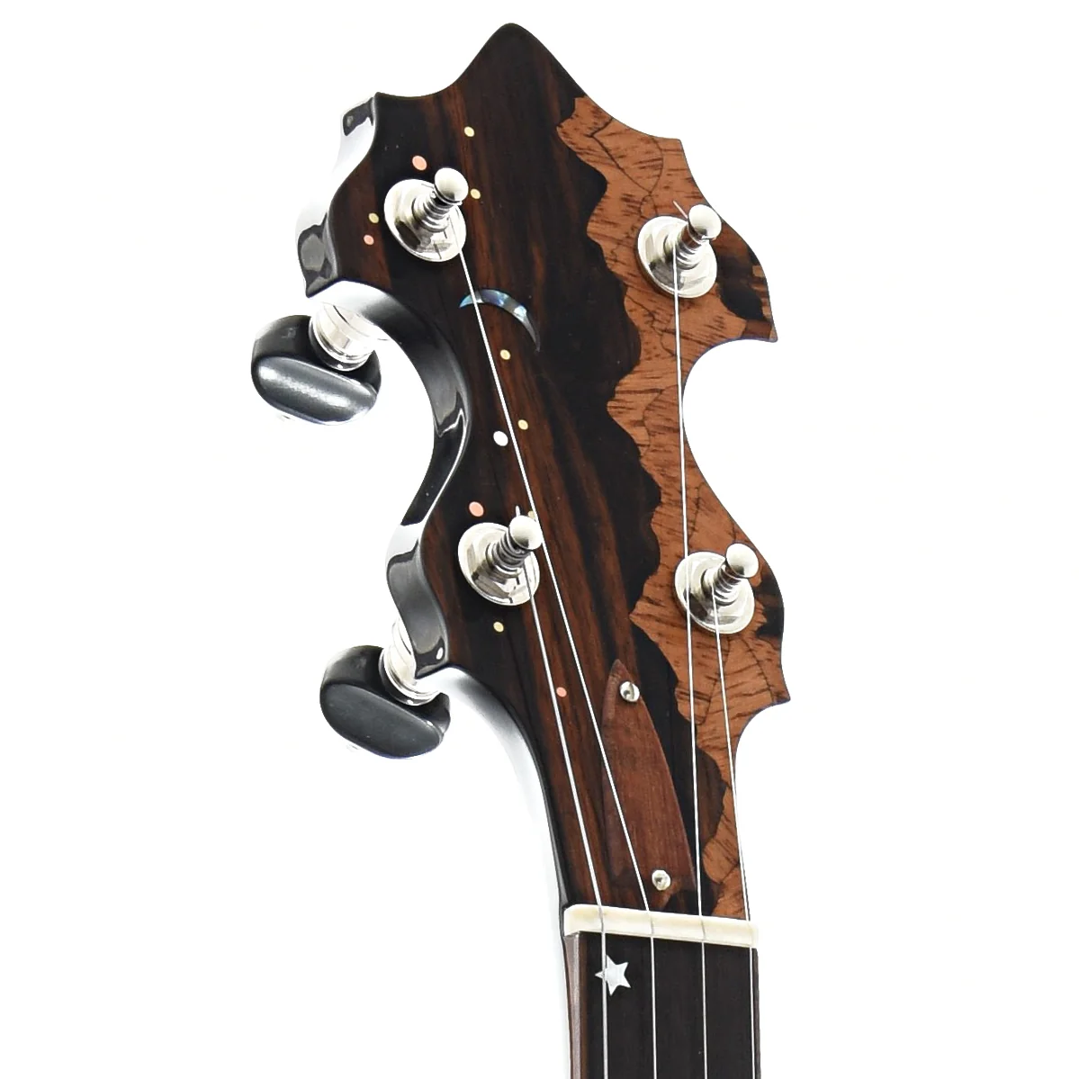 Bishline Midnight Moon Resonator Banjo & Case - Image 7