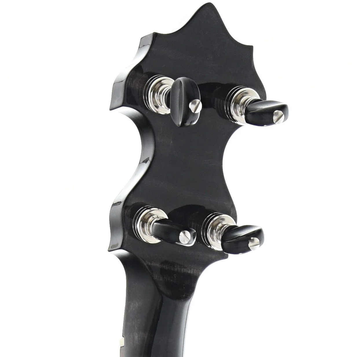 Bishline Midnight Moon Resonator Banjo & Case - Image 8